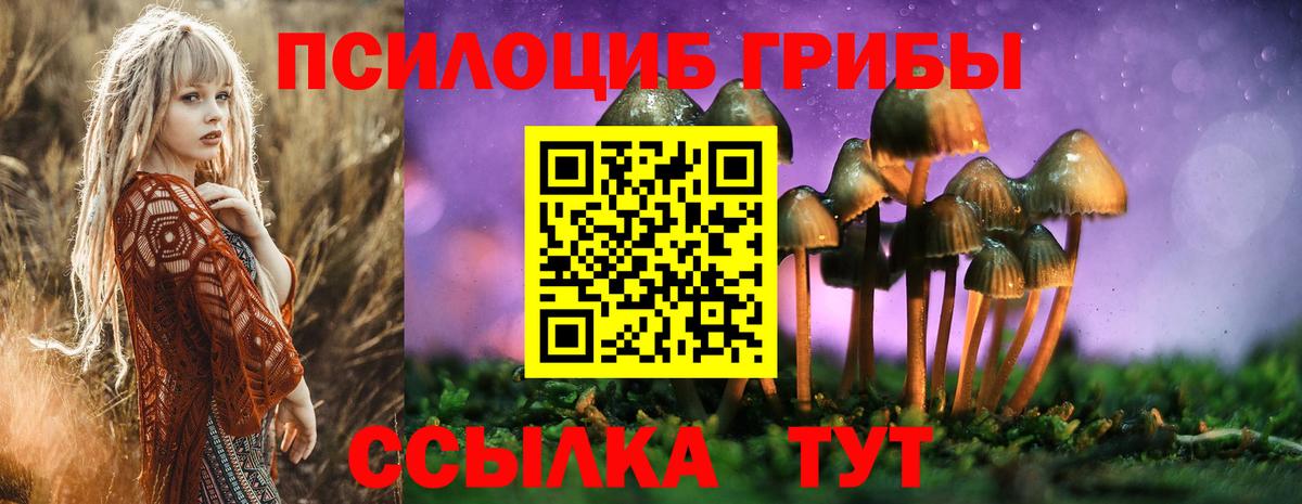 Галлюциногенные грибы GOLDEN TEACHER Нарьян-Мар